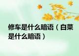 修車是什么暗語(yǔ)（白菜是什么暗語(yǔ)）