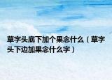 草字頭底下加個(gè)果念什么（草字頭下邊加果念什么字）