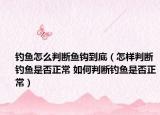 釣魚怎么判斷魚鉤到底（怎樣判斷釣魚是否正常 如何判斷釣魚是否正常）