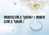 青團(tuán)可以帶上飛機(jī)嗎?（青團(tuán)可以帶上飛機(jī)嗎）