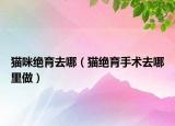 貓咪絕育去哪（貓絕育手術(shù)去哪里做）