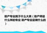 助產(chǎn)專業(yè)屬于什么大類（助產(chǎn)師是什么樣的專業(yè) 助產(chǎn)專業(yè)是做什么的）