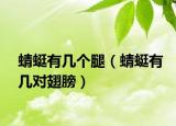 蜻蜓有幾個(gè)腿（蜻蜓有幾對(duì)翅膀）