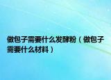 做包子需要什么發(fā)酵粉（做包子需要什么材料）