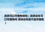 高鐵可以帶寵物貓嗎（高鐵動車可以帶寵物嗎 高鐵動車能不能帶寵物）