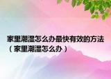 家里潮濕怎么辦最快有效的方法（家里潮濕怎么辦）