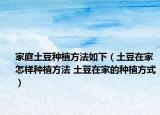 家庭土豆種植方法如下（土豆在家怎樣種植方法 土豆在家的種植方式）