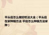 平頭菇怎么做好吃法大全（平頭菇在家種植方法 平菇怎么種植方法家種）