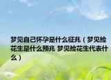 夢見自己懷孕是什么征兆（夢見撿花生是什么預(yù)兆 夢見撿花生代表什么）