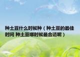 種土豆什么時(shí)候種（種土豆的最佳時(shí)間 種土豆哪時(shí)候最合適呢）