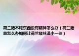 荷蘭豬不吃東西沒有精神怎么辦（荷蘭豬臭怎么辦如何讓荷蘭豬味道小一些）