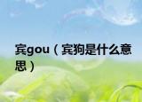 賓gou（賓狗是什么意思）