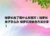 綠蘿長(zhǎng)蟲(chóng)了用什么東西滅（綠蘿長(zhǎng)蟲(chóng)子怎么辦 綠蘿日常除蟲(chóng)方法分享）
