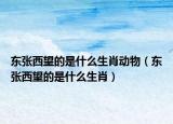 東張西望的是什么生肖動物（東張西望的是什么生肖）