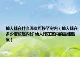 仙人球在什么溫度可移至室內(nèi)（仙人球在多少度放屋內(nèi)好 仙人球在室內(nèi)的最佳溫度）