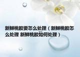 新鮮桃膠要怎么處理（新鮮桃膠怎么處理 新鮮桃膠如何處理）