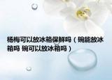 楊梅可以放冰箱保鮮嗎（碗能放冰箱嗎 碗可以放冰箱嗎）