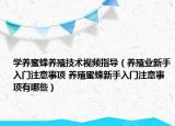 學(xué)養(yǎng)蜜蜂養(yǎng)殖技術(shù)視頻指導(dǎo)（養(yǎng)殖業(yè)新手入門(mén)注意事項(xiàng) 養(yǎng)殖蜜蜂新手入門(mén)注意事項(xiàng)有哪些）
