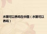 水獺可以養(yǎng)嗎在中國（水獺可以養(yǎng)嗎）