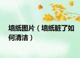 墻紙圖片（墻紙臟了如何清潔）