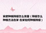 家庭種植辣椒怎么育苗（辣椒怎么種植方法在家 在家如何種植辣椒）