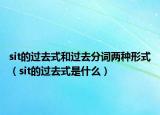 sit的過去式和過去分詞兩種形式（sit的過去式是什么）
