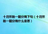 十月懷胎一朝分娩下句（十月懷胎一朝分娩什么意思）