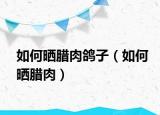 如何曬臘肉鴿子（如何曬臘肉）