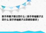 新手養(yǎng)蝎子要注意什么（新手養(yǎng)殖蝎子注意什么 新手養(yǎng)殖蝎子注意哪些事項）