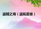 盜賊之海（盜拓是誰）