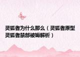 靈狐者為什么那么（靈狐者原型靈狐者禁部被媷解析）