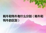 耗牛和牦牛有什么分別（耗牛和牦牛的區(qū)別）