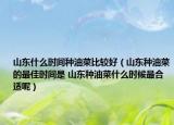 山東什么時間種油菜比較好（山東種油菜的最佳時間是 山東種油菜什么時候最合適呢）