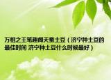 萬相之王筆趣閣天蠶土豆（濟寧種土豆的最佳時間 濟寧種土豆什么時候最好）