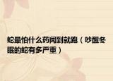 蛇最怕什么藥聞到就跑（吵醒冬眠的蛇有多嚴(yán)重）