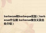 barbecue和barbeque區(qū)別（barbecue什么梗 barbecue梗含義及出處介紹）