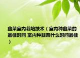 韭菜室內(nèi)栽培技術（室內(nèi)種韭菜的最佳時間 室內(nèi)種韭菜什么時間最佳）