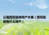 云南西雙版納特產(chǎn)水果（西雙版納有什么特產(chǎn)）