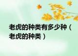 老虎的種類有多少種（老虎的種類）