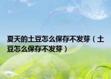 夏天的土豆怎么保存不發(fā)芽（土豆怎么保存不發(fā)芽）