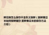 鮮花椒怎么保存不變色又保鮮（新鮮蠶豆米如何保鮮儲(chǔ)存 新鮮蠶豆米的保存方法介紹）