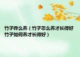 竹子咋么養(yǎng)（竹子怎么養(yǎng)才長(zhǎng)得好 竹子如何養(yǎng)才長(zhǎng)得好）