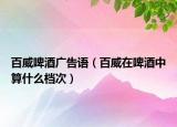 百威啤酒廣告語(yǔ)（百威在啤酒中算什么檔次）