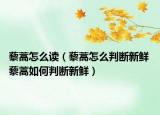 藜蒿怎么讀（藜蒿怎么判斷新鮮 藜蒿如何判斷新鮮）