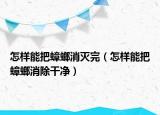 怎樣能把蟑螂消滅完（怎樣能把蟑螂消除干凈）