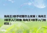 海商王3新手初期怎么發(fā)展（海商王3新手入門攻略 海商王3新手入門如何玩）
