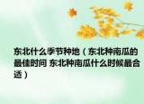 東北什么季節(jié)種地（東北種南瓜的最佳時(shí)間 東北種南瓜什么時(shí)候最合適）