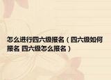 怎么進行四六級報名（四六級如何報名 四六級怎么報名）