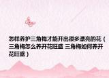 怎樣養(yǎng)護(hù)三角梅才能開(kāi)出很多漂亮的花（三角梅怎么養(yǎng)開(kāi)花旺盛 三角梅如何養(yǎng)開(kāi)花旺盛）