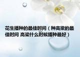 花生播種的最佳時(shí)間（種高梁的最佳時(shí)間 高粱什么時(shí)候播種最好）